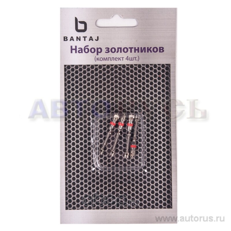 Золотники Камеры длинные  4 шт